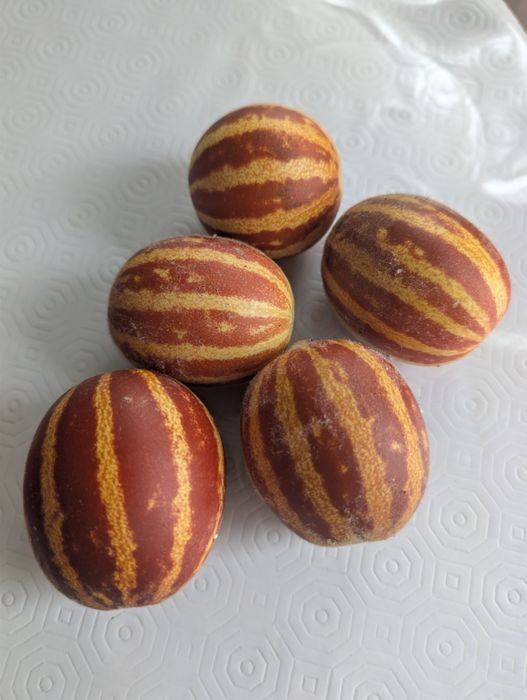 Sementes de Mini Melão Rich Sweetness
