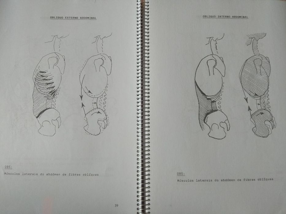 Livro de Ortoprotesia