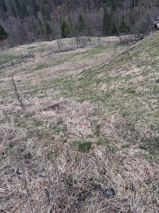 Земельна ділянка Криворівня