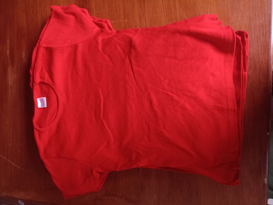 Lotes de 50 t-shirts 50€