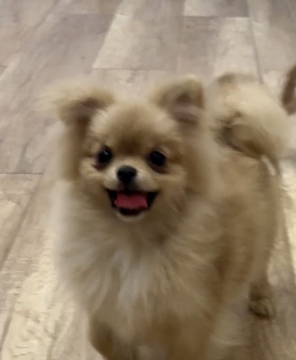 Дуже гарна малесенька дівчинка.