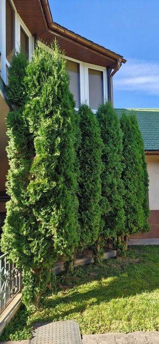 Продаж будинку в центрі Сваляви