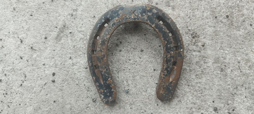 Podkowa końska nowa