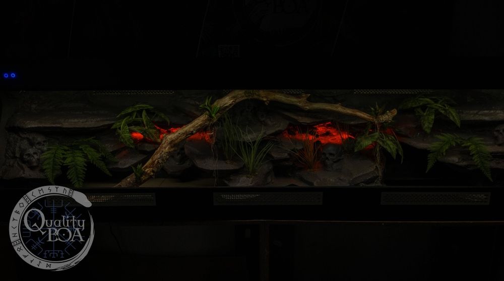 Ogromne terrarium 250×60×70. NOWE !