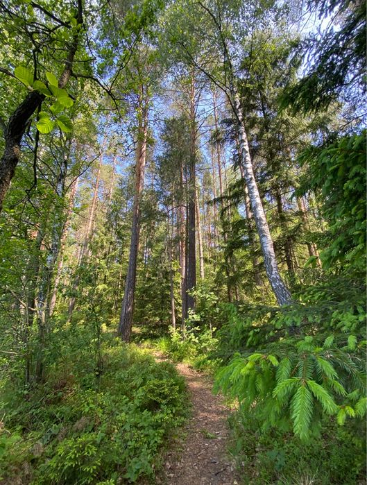 Domek nad jeziorem z linią brzegową ,łódka Strękowizna Augustów