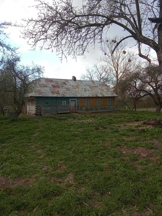Продам будинок в с. Личини