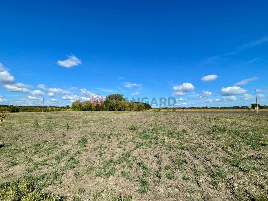 Терміново! Продам цегляний будинок в с. Байбузи! Держпрограми!