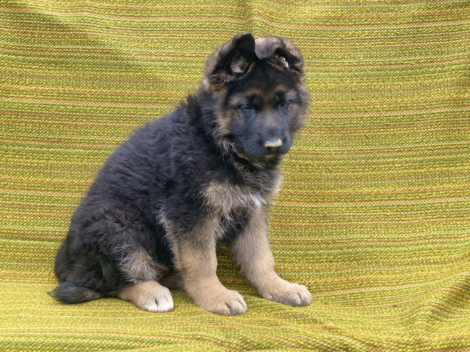 Неймовірні малюки з документами