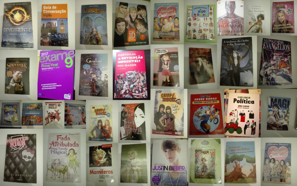 Livros, maioritariamente infantojuvenis