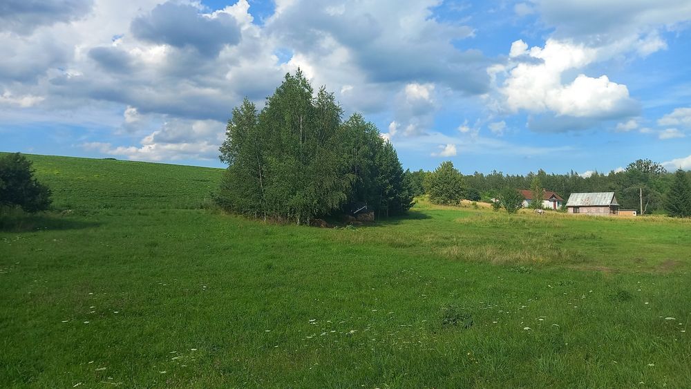 Продається ділянка  15 сот Радиславка.