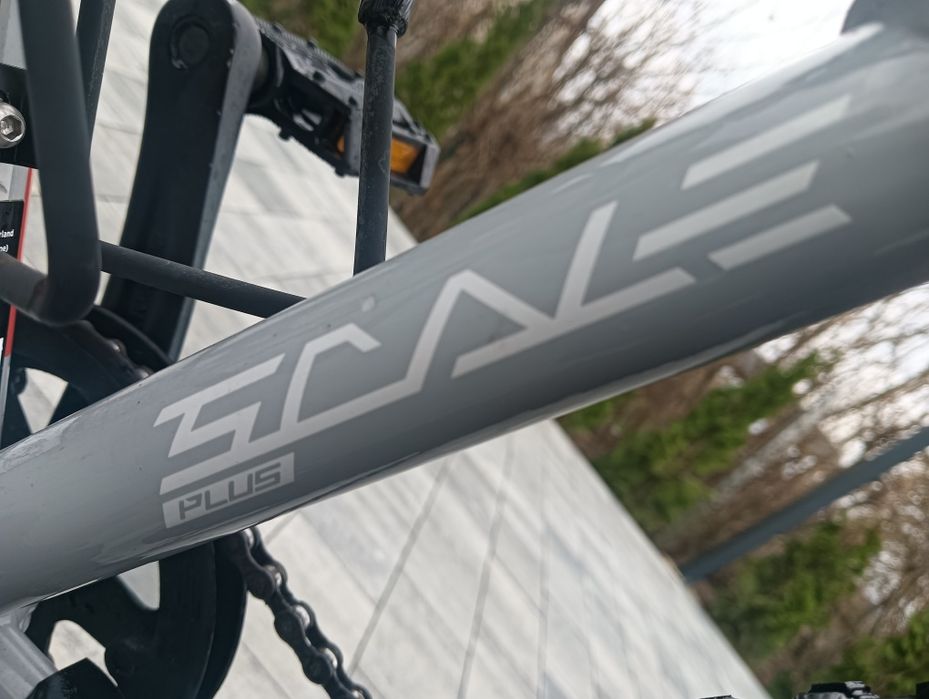 Scott Scale Plus