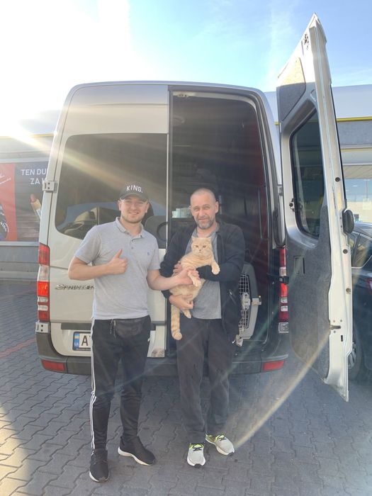 Перевезення тварин в Європу, США, Канаду. Доставка животных Europe