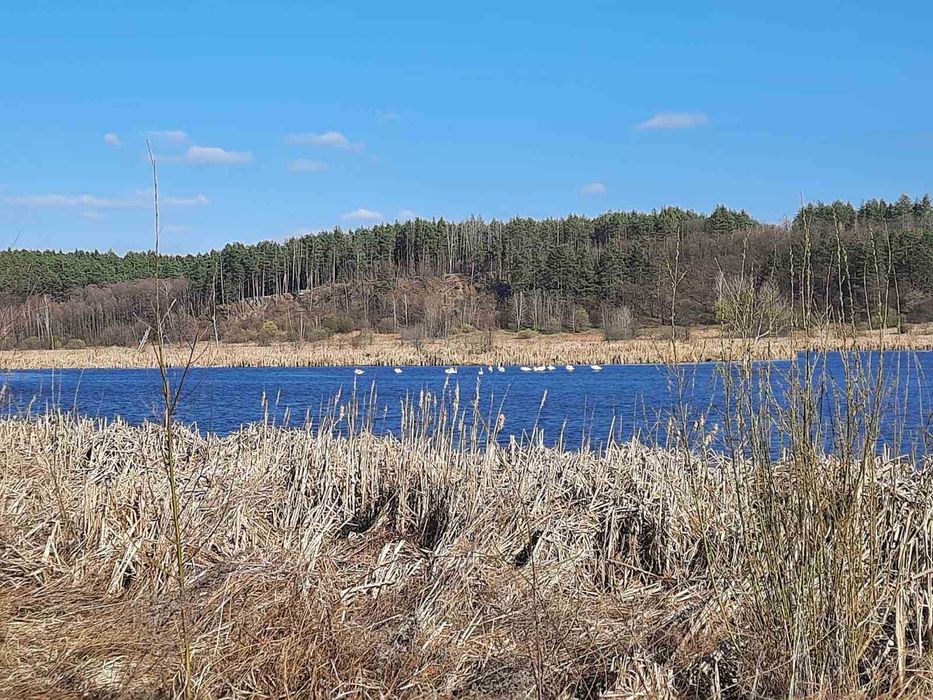 Біля води, Синяк, 112 соток, ОСГ. Супермісце!