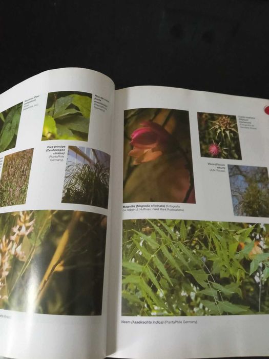 livro de medicinas naturais