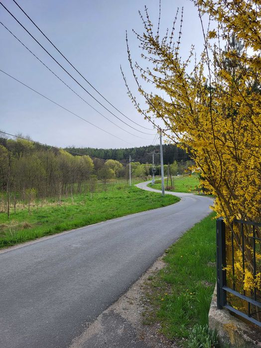 FERIE! Zieleniec!  DOM z prywatnym LASEM na wyłączność