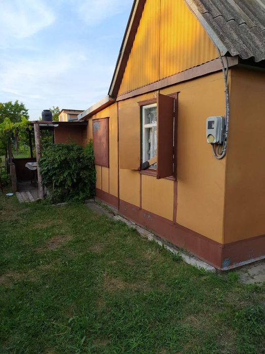 Продам дачу у Пісчанці, близько річка, дешево