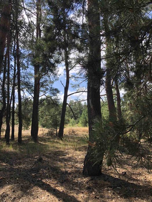 Продам участок Вища Дубечня