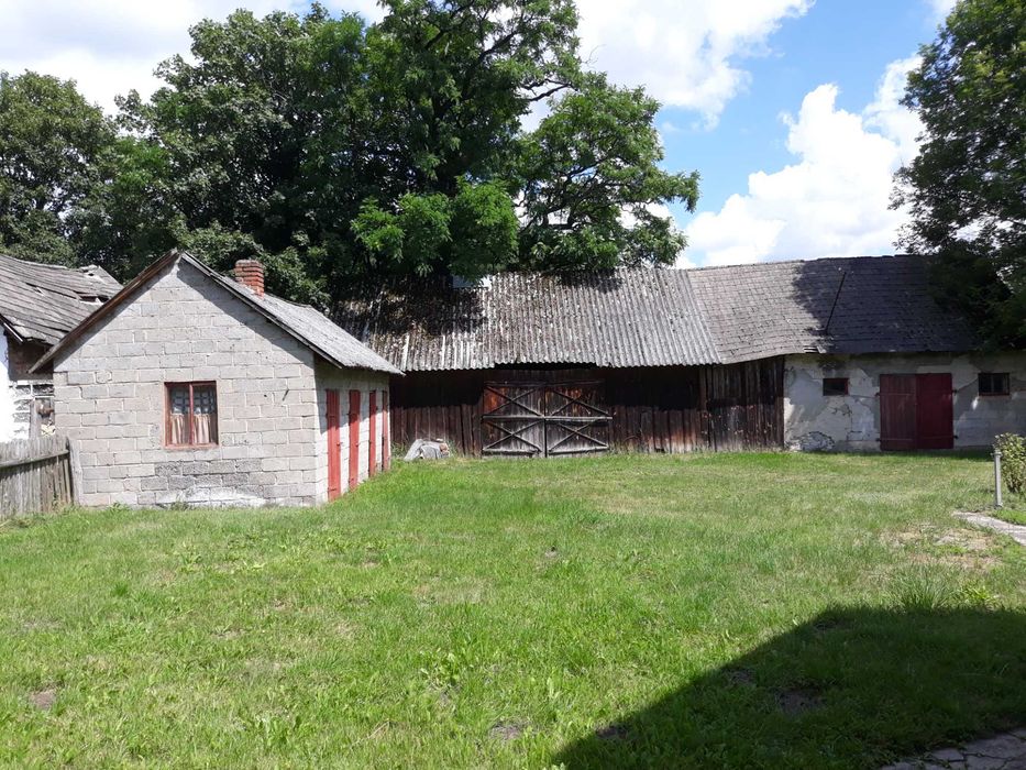 Dom drewniany w leśnym zaciszu