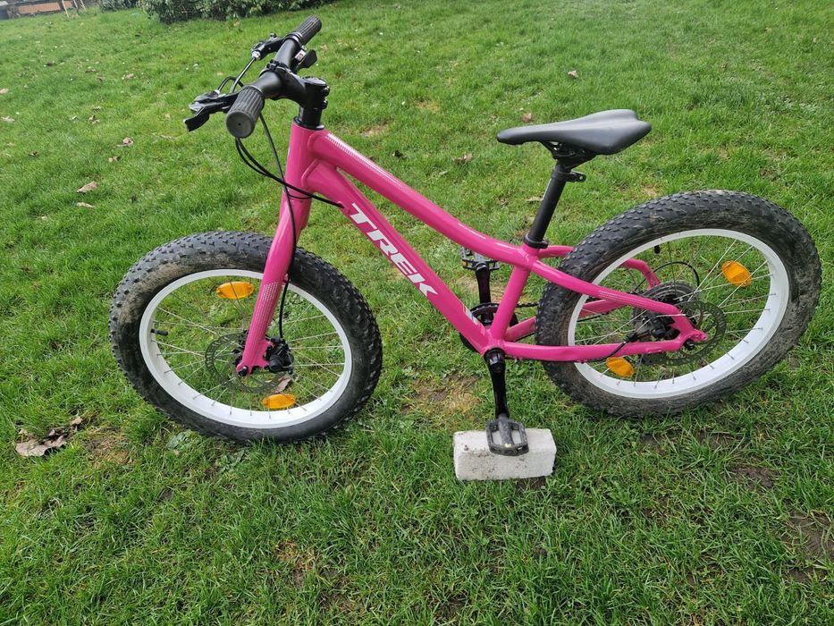 Rower Trek Roscoe 20 cali Pink