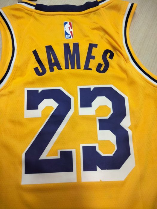 LeBron James LA Lakers NBA