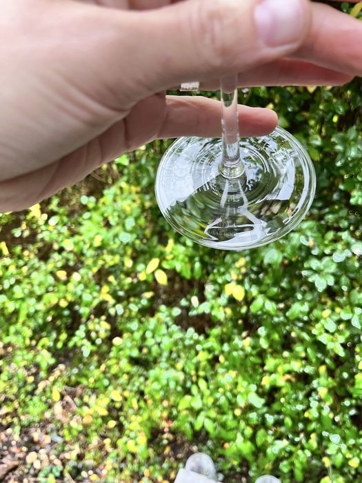 Бокали для вина Royal Boch