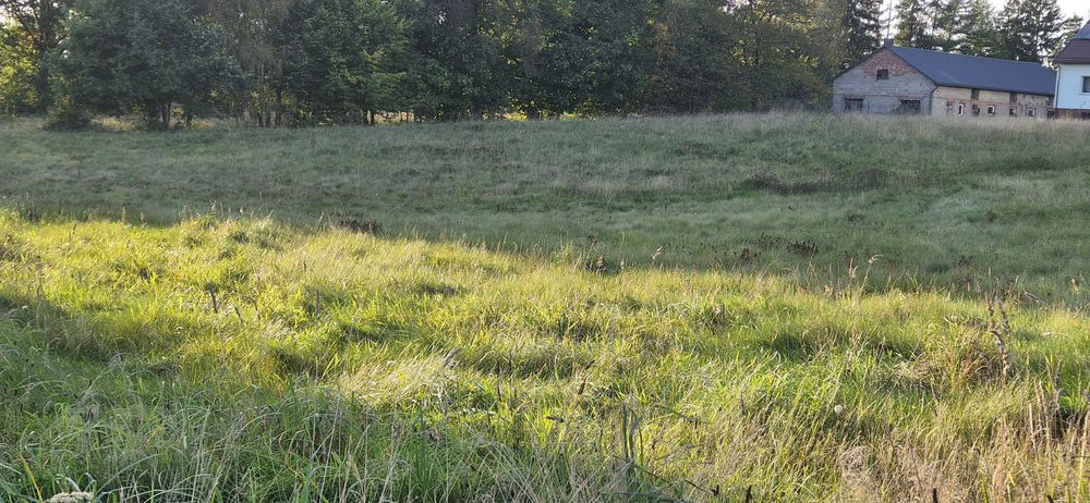 Sprzedam działki budowlane