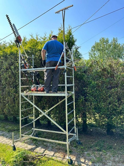Przycinanie Tui, wycinka drzew, wywóz odpadów zielonych