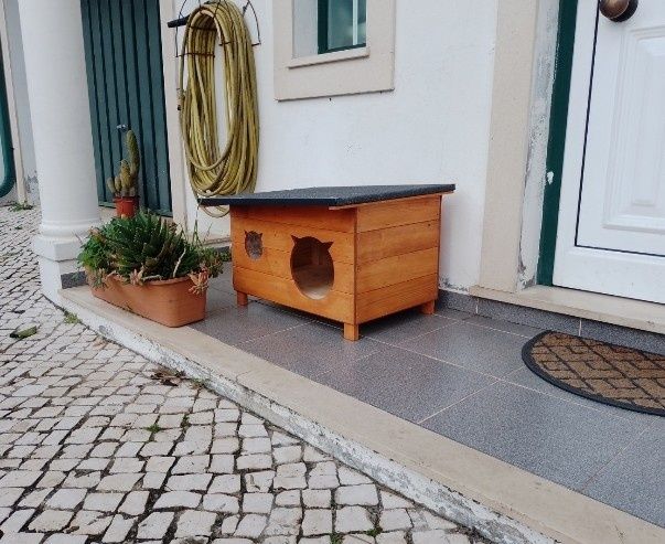 Casota para gato