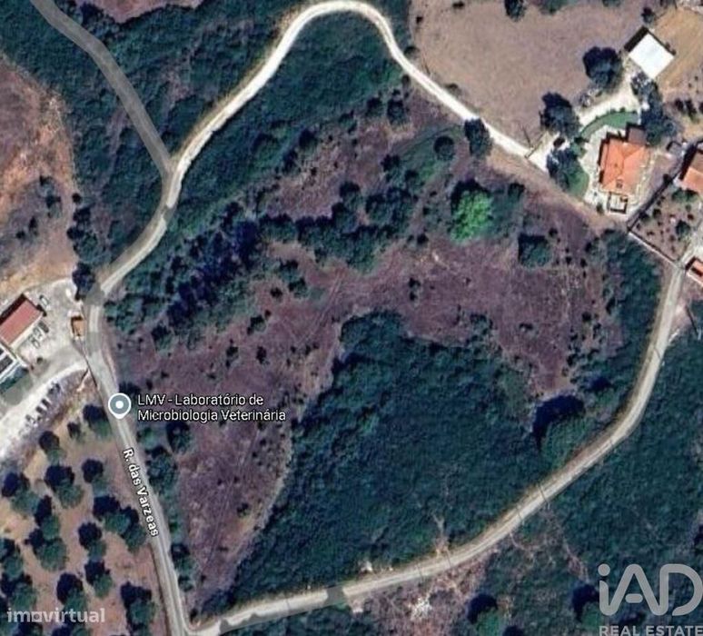 Terreno em Almoster