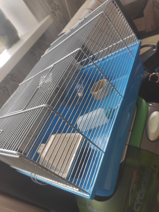 Клітка для ховрашка з наповненням.