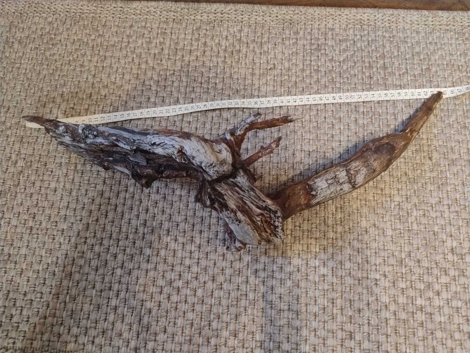 Duży korzeń do terrarium/akwarium