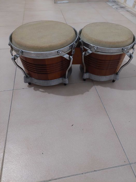 Excelente Bongô da Venezuela