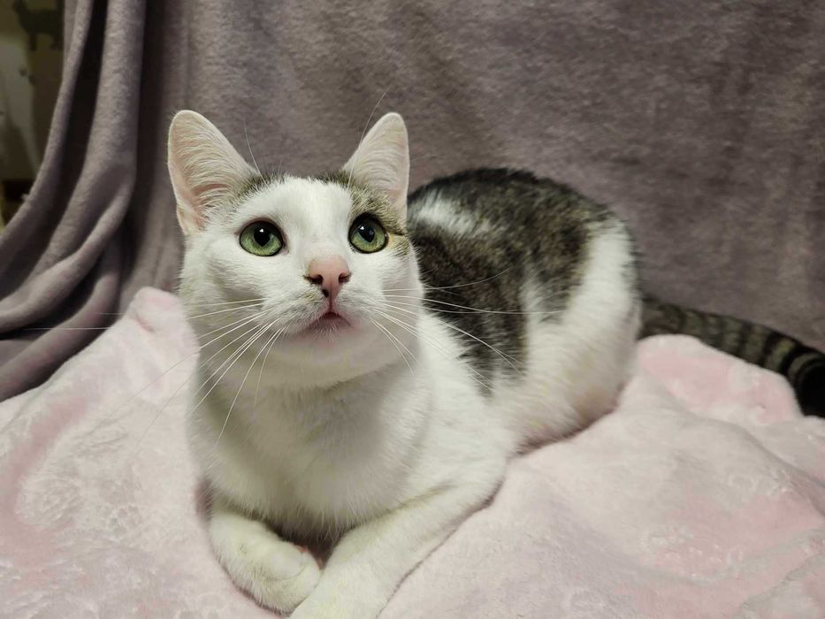 Lenka szuka swojego człowieka