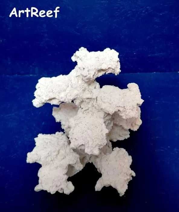 Skała, akwarium morskie, koralowce miękkie, lps,sps aquascaping