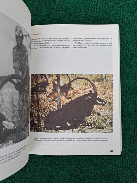 África - Homens e Animais Bravios  - Aleixo Costa (Caça)