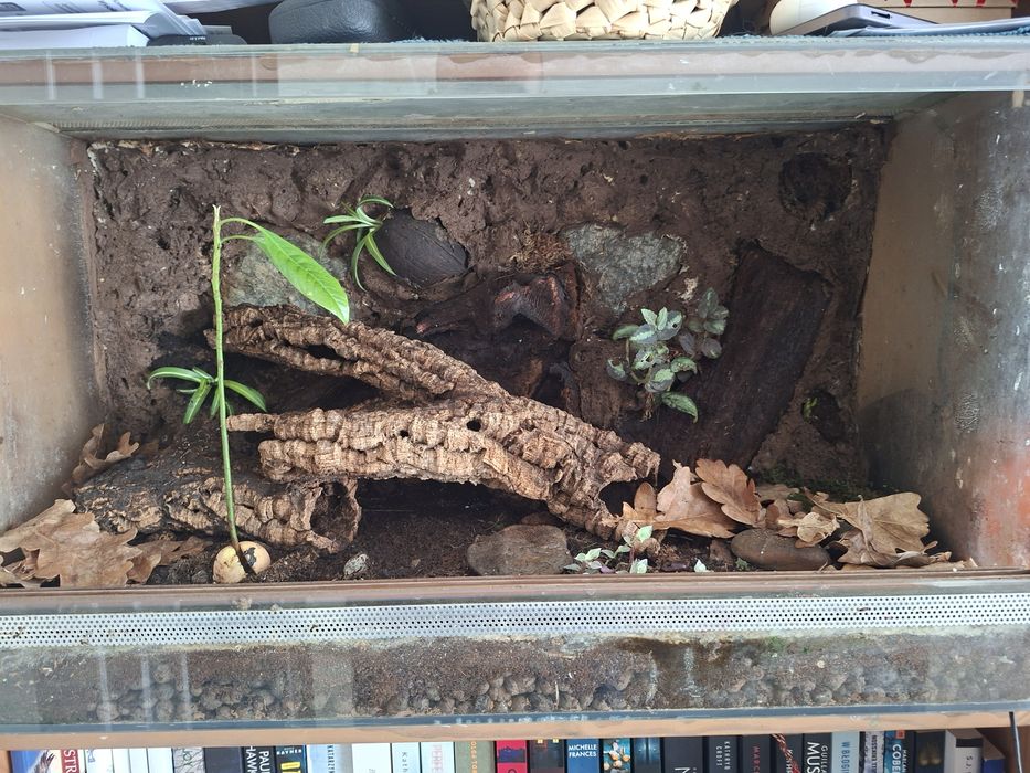 Terrarium 70/40/30