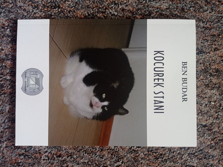 Kocurek stani Ben budar