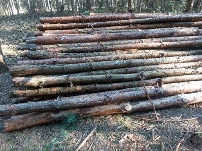 Sprzedam stemple budowlane 3 metry