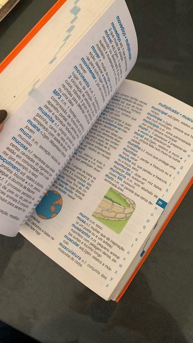 Livro dicionário português básico ilustrado de Porto Editora