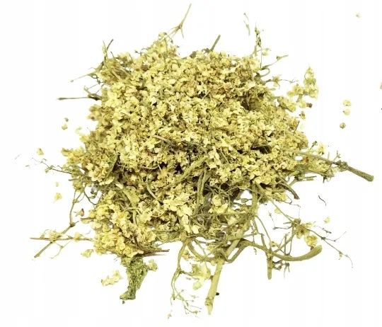 Suszony kwiat czarnego bzu 1 kg