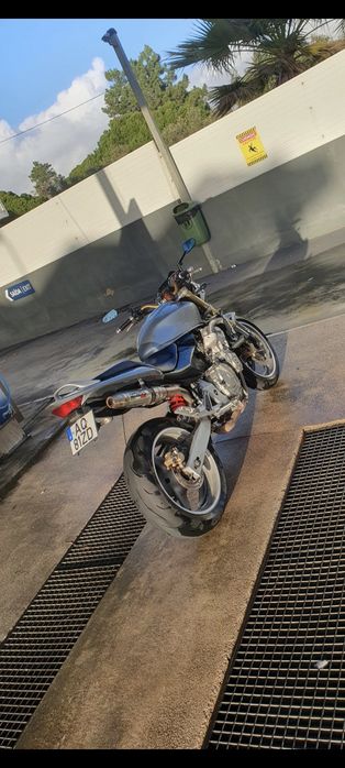 Hornet 600  2006