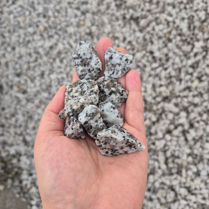 Sprzedam grys granitowy Dalmatyńczyk, frakcja 16-22