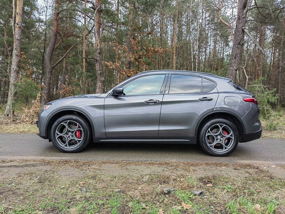 Alfa Romeo Stelvio 2.0T Q4 panorama 1 właściciel w Polsce