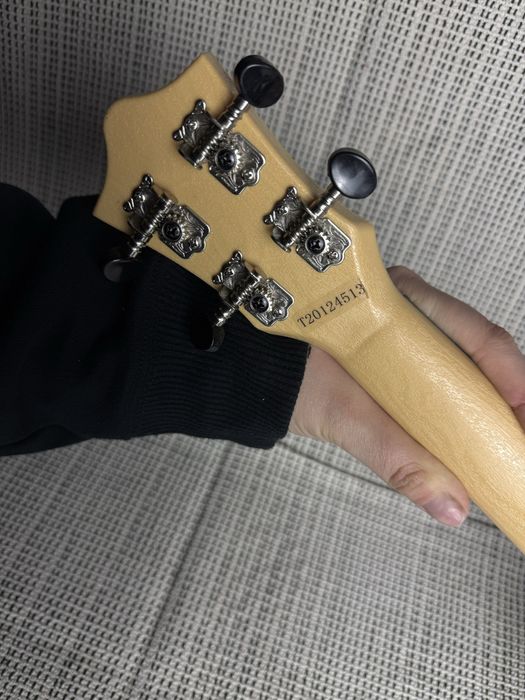 Ukulele Flight Travel Series