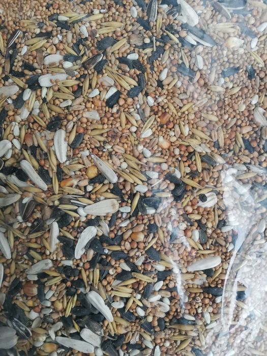 Karma dla papug średnich (Nimfa, świergota, modrolotka, aleksan.) 20KG