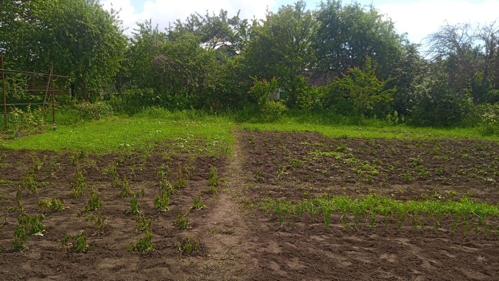 Продаётся под полдома с приусадебным хозяйством