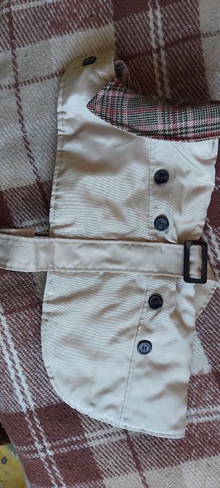 Костюми для песиків