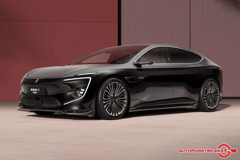 AVATR 12 Royal Theatre Edition Auto Punkt