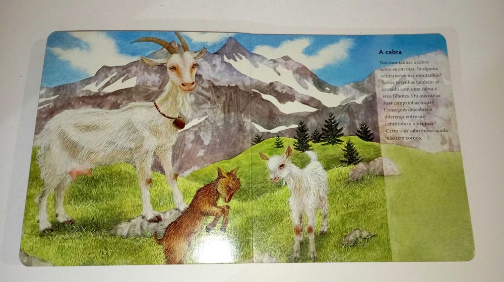 O meu adorado livro de animais com imagens