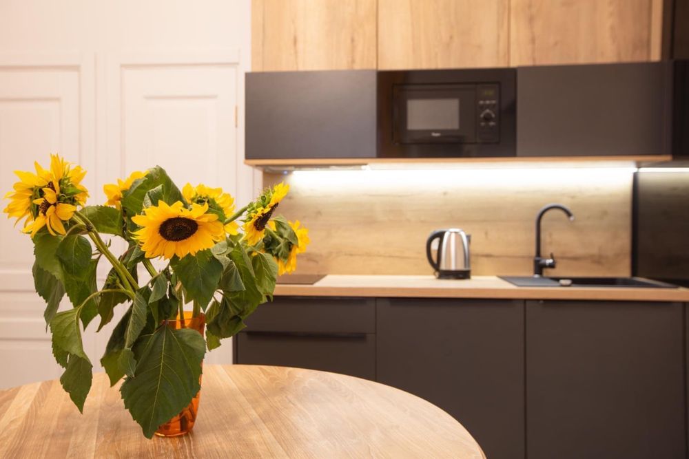 Апартаменти центр площа Ринок, Стрийський парк, Пекарська, Франка